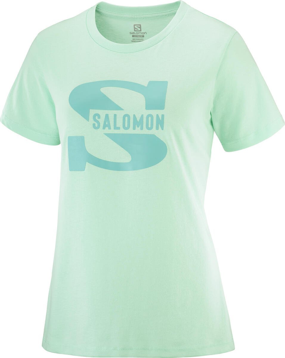 Tričko Salomon OUTLIFE BIG LOGO TEE W - zelená