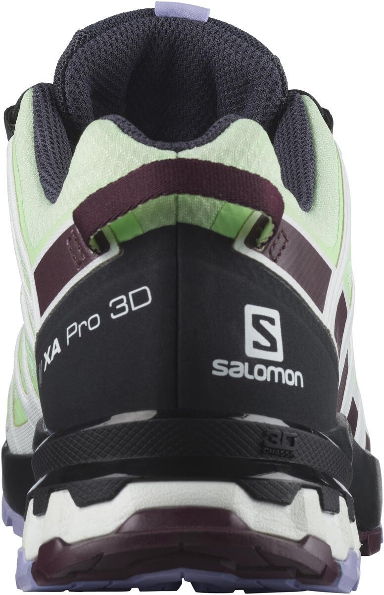 Obuv Salomon XA PRO 3D V8 GTX W - zelená/fialová
